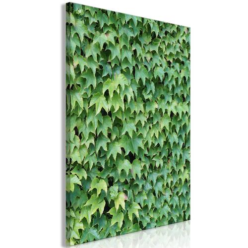 Billede - Thick Ivy (1 Part) Vertical