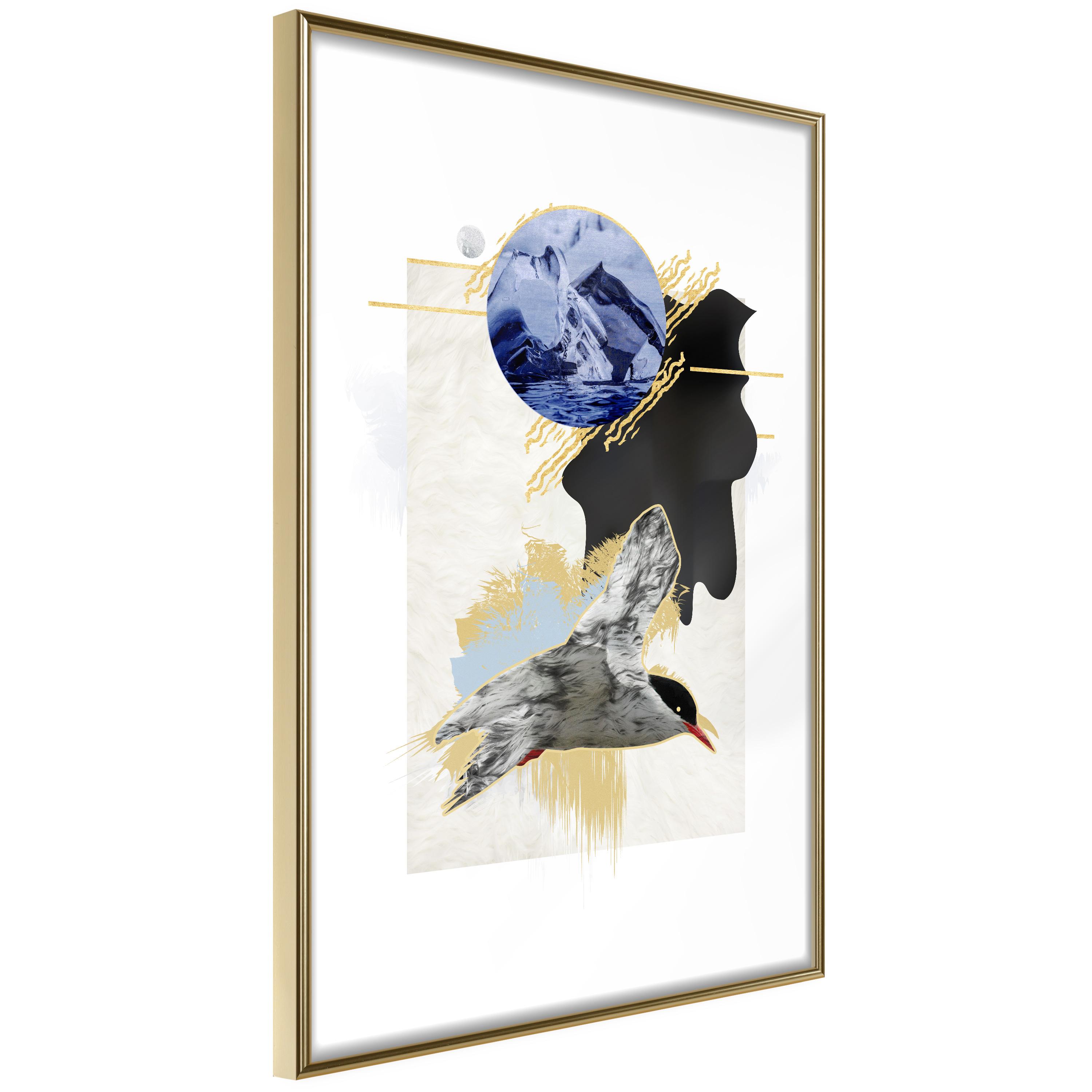 Plakat - Antarctic Tern - 40 x 60 cm - Guldramme billede