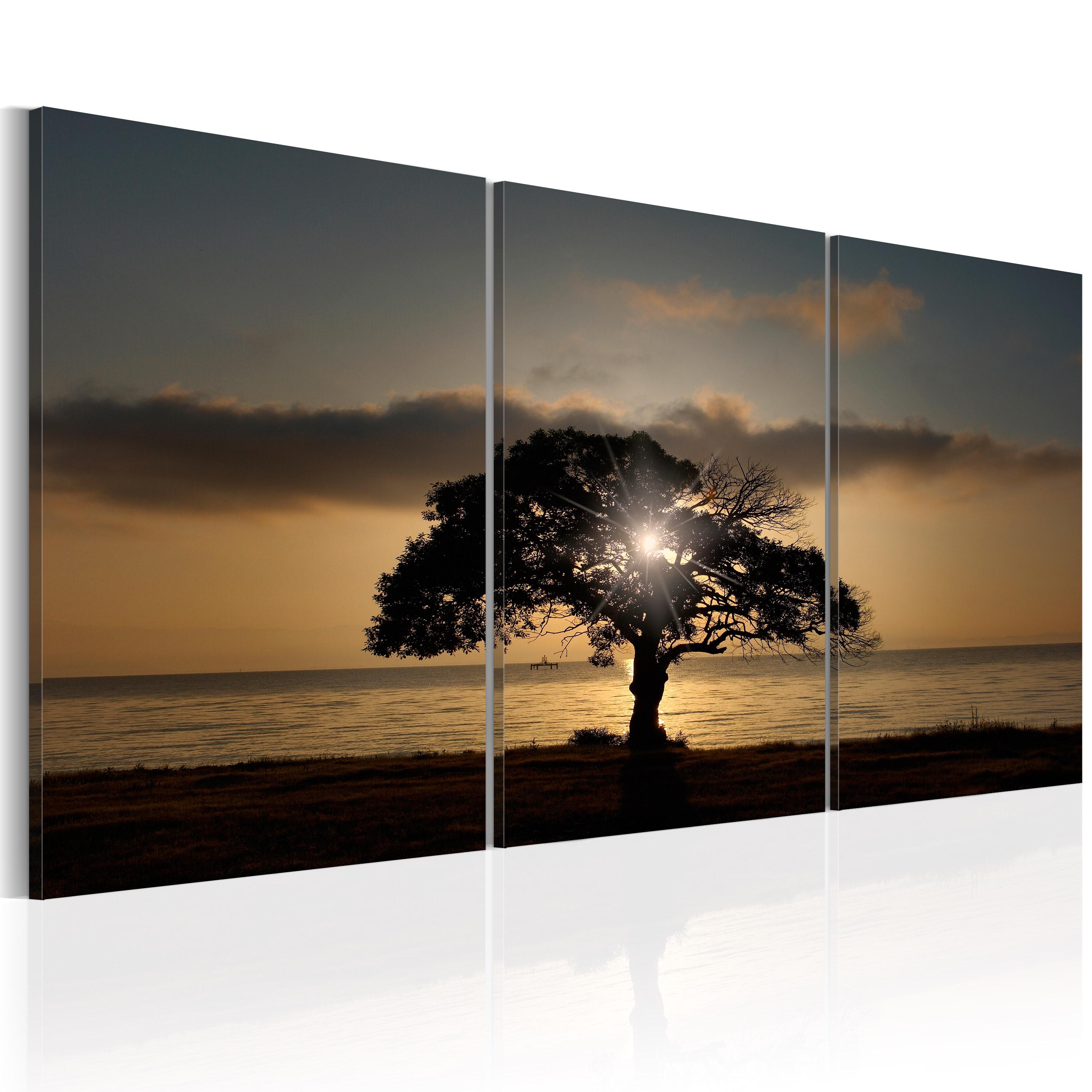 Billede Extraordinary Nature 120 X 60 Cm Premium Print