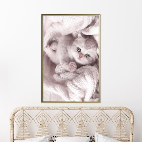 Plakat - Lover of Rest