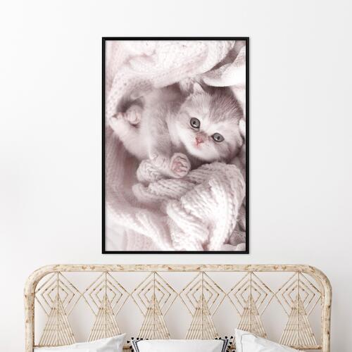 Plakat - Lover of Rest