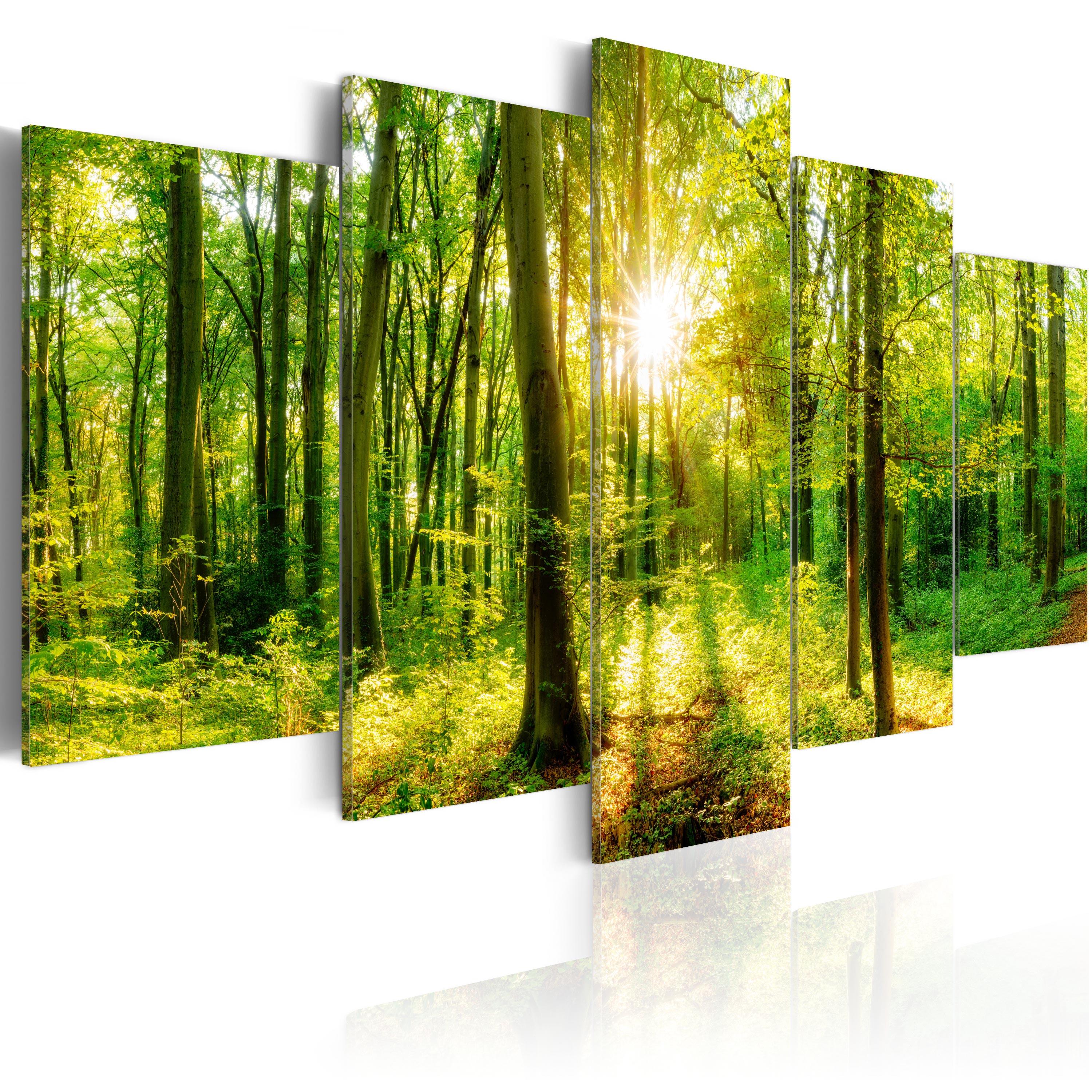 Billede - Forest Tale - 200 x 100 cm - Premium Print billede