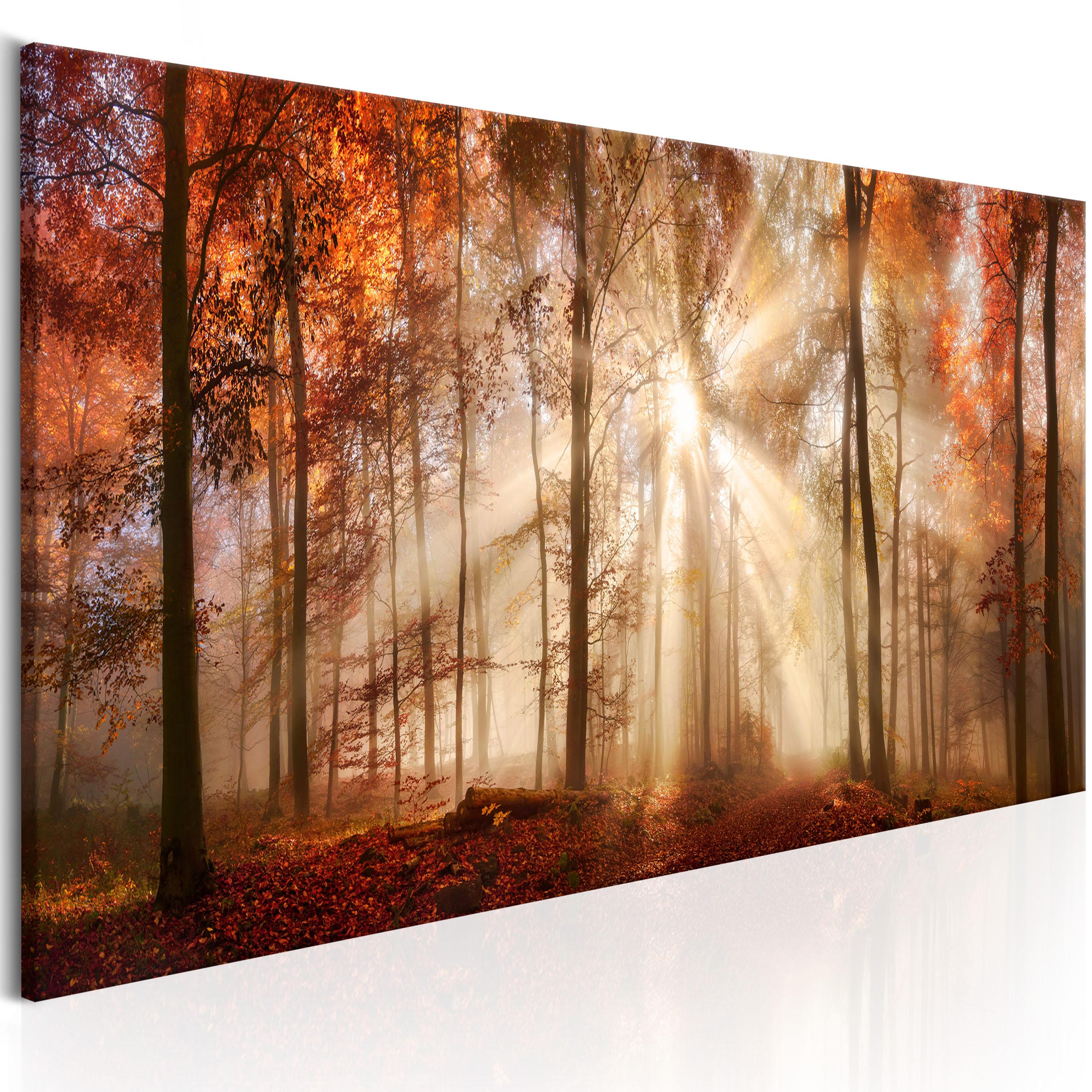 Billede - Autumnal Dawn - 135 x 45 cm - Premium Print billede