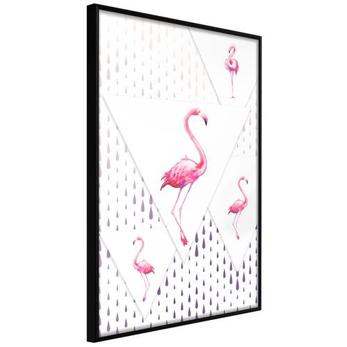 Plakat - Flamingo Family