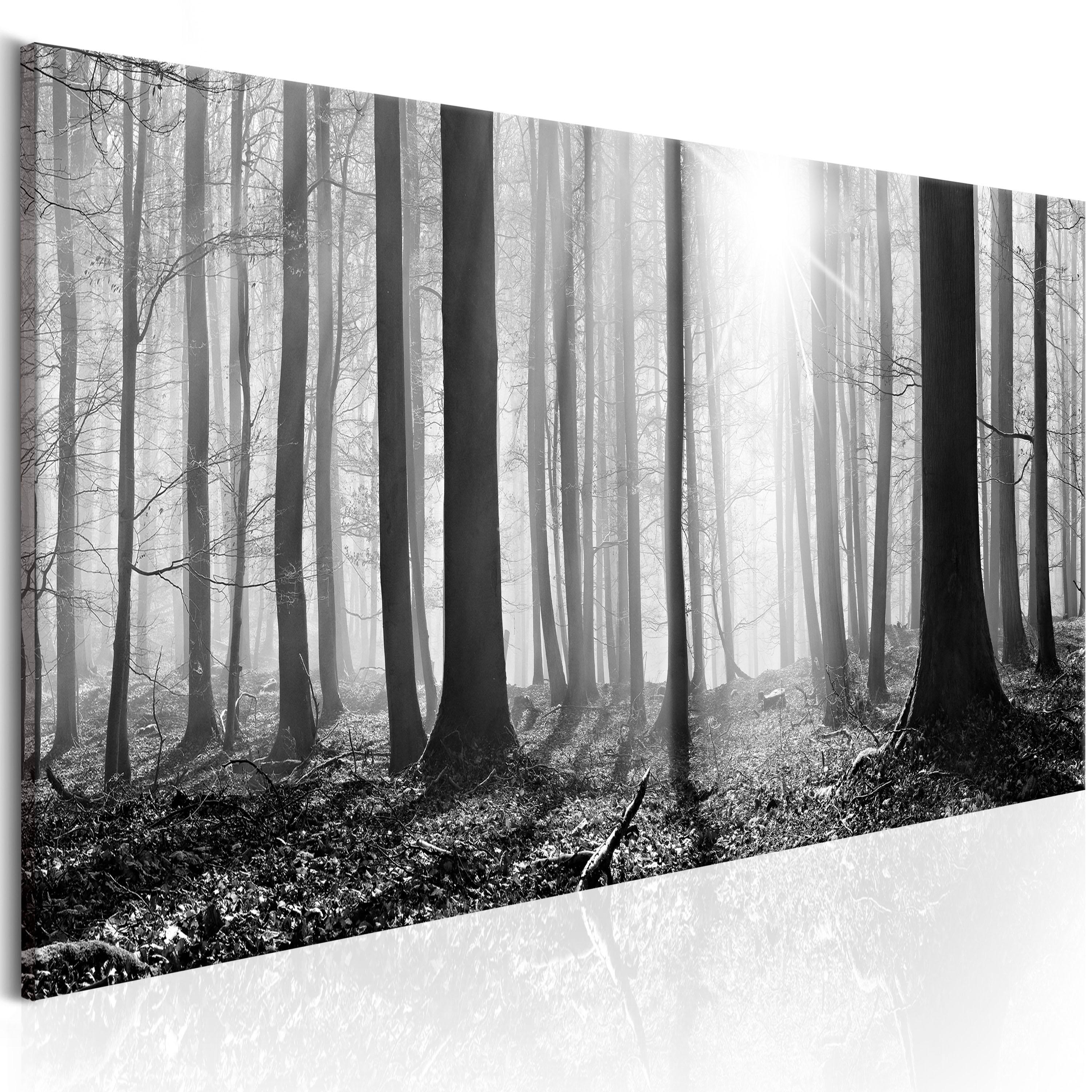 Billede - Black and White Forest - 135 x 45 cm - Premium Print billede