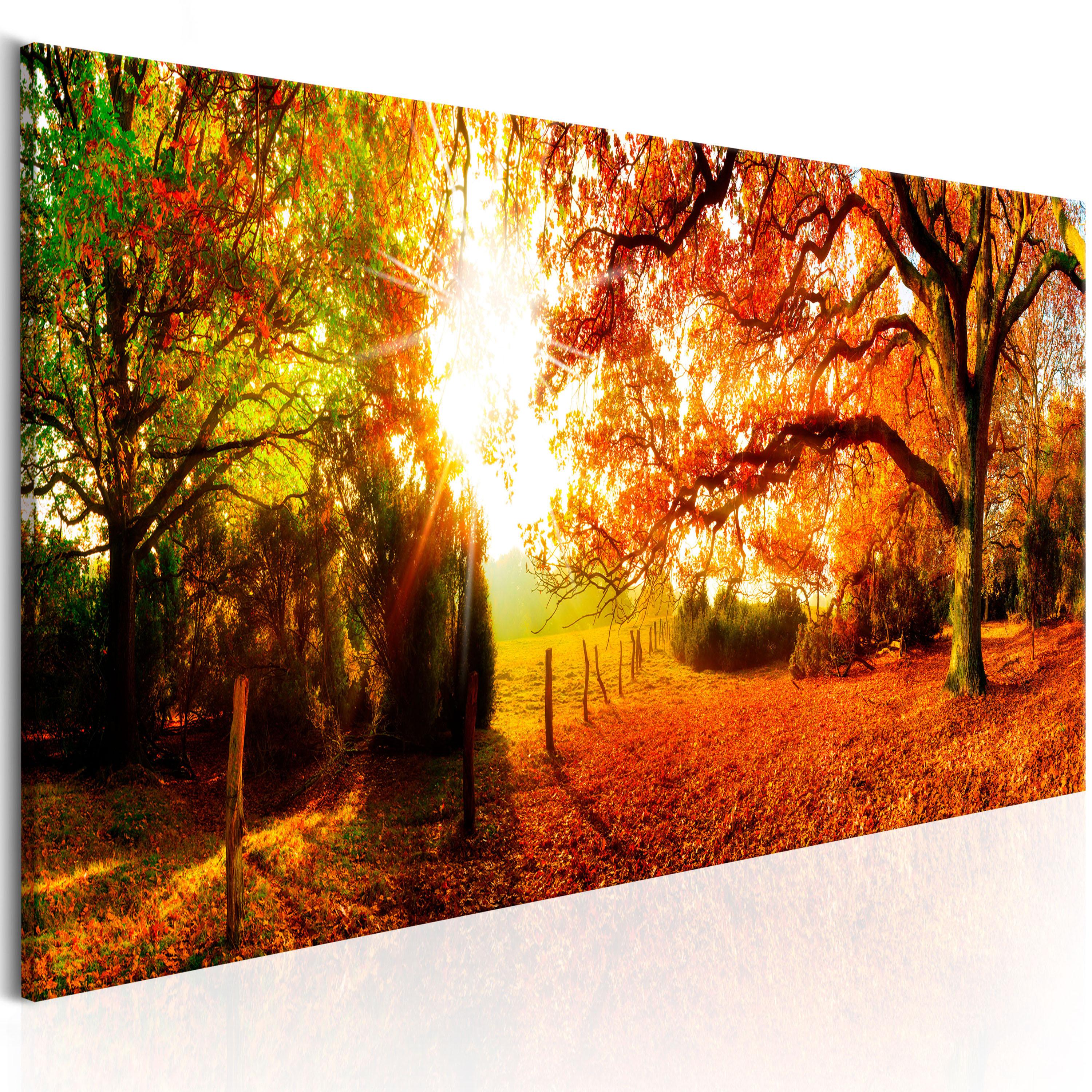 Billede - Magic of Autumn - 120 x 40 cm - Premium Print billede