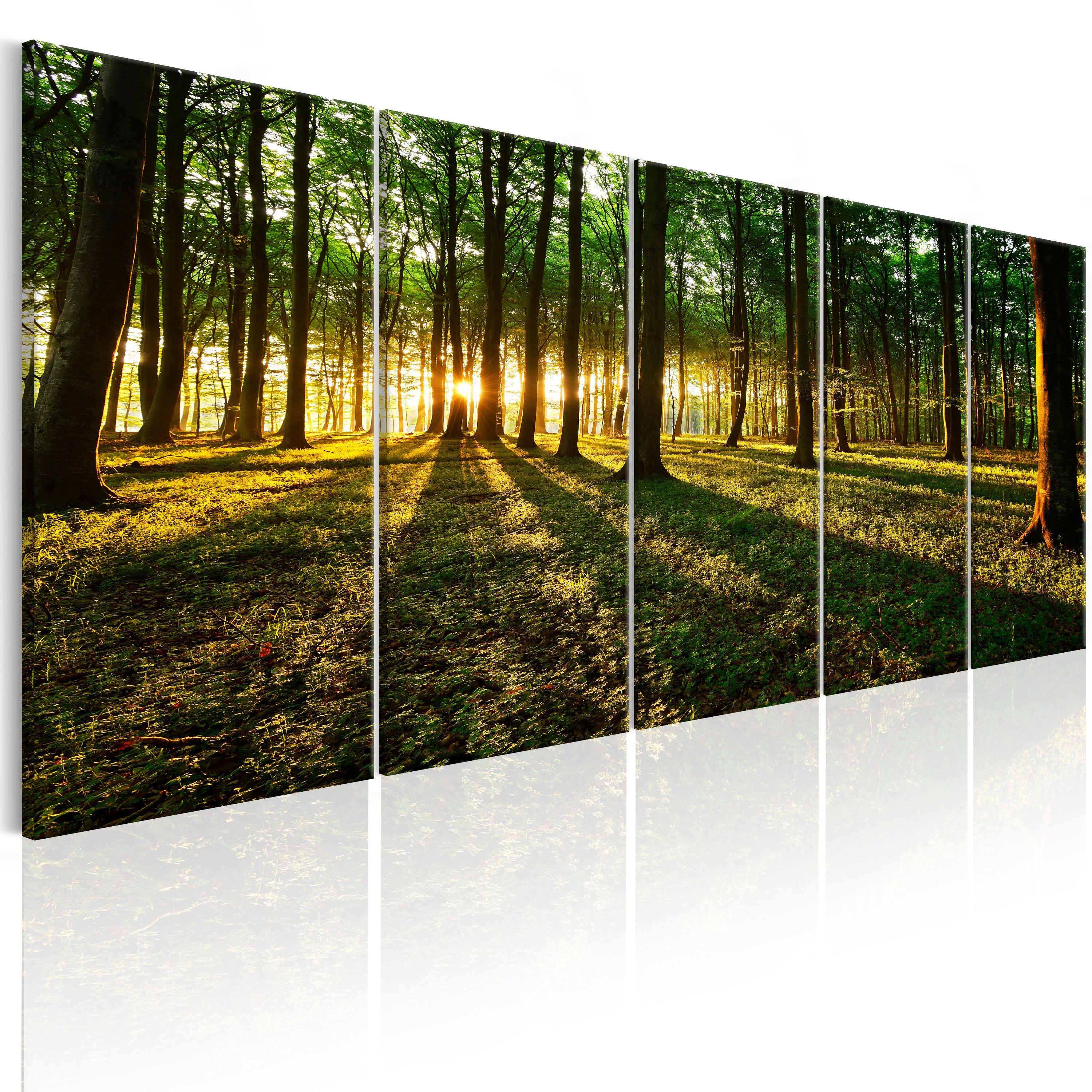 Billede - Shade of Trees I - 225 x 90 cm - Premium Print billede