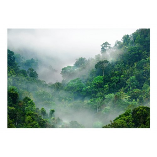 Fototapet Morning Fog