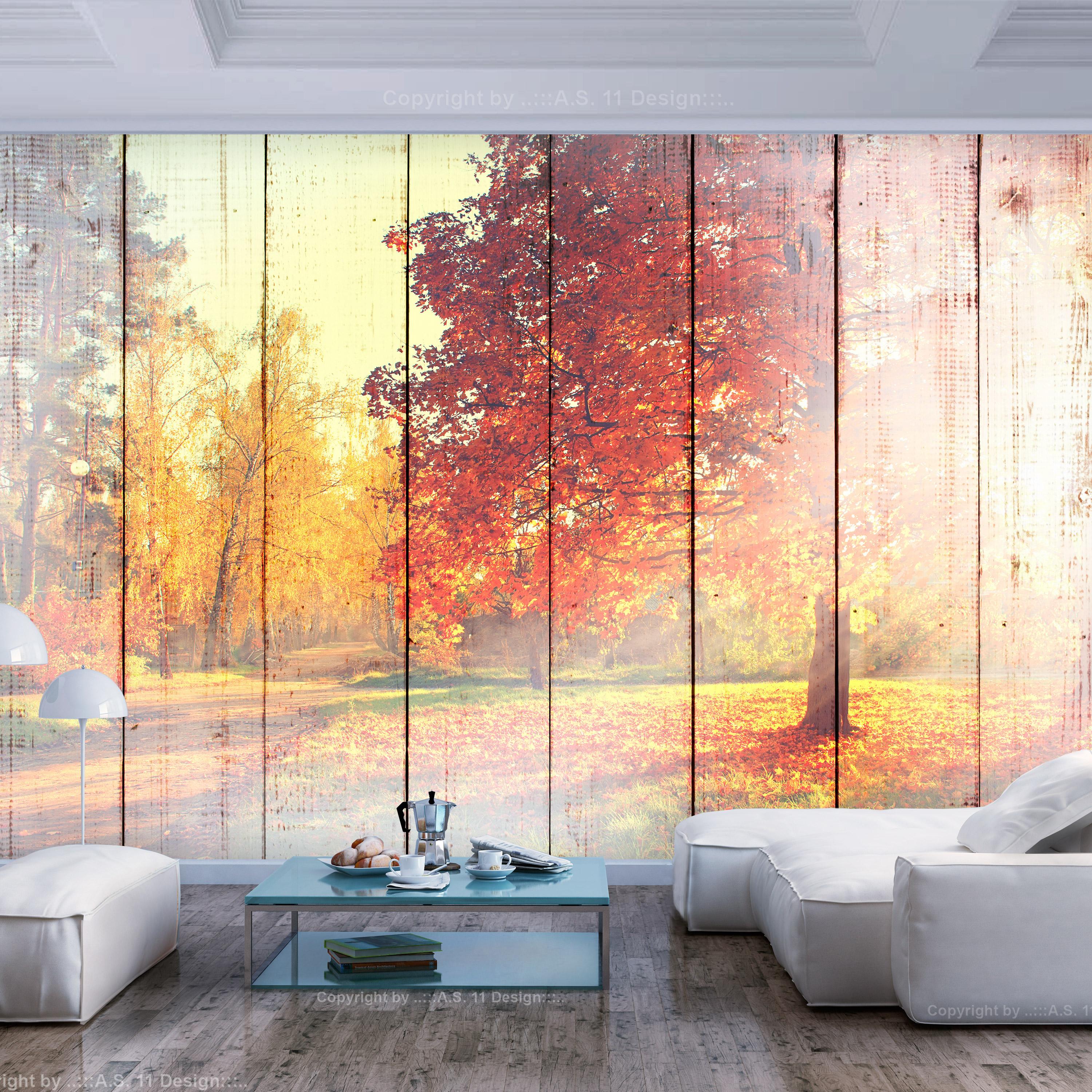 Fototapet - Autumn Sun - 343 x 245 cm - Selvklæbende billede