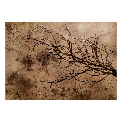 Fototapet Rickety Cherry Tree