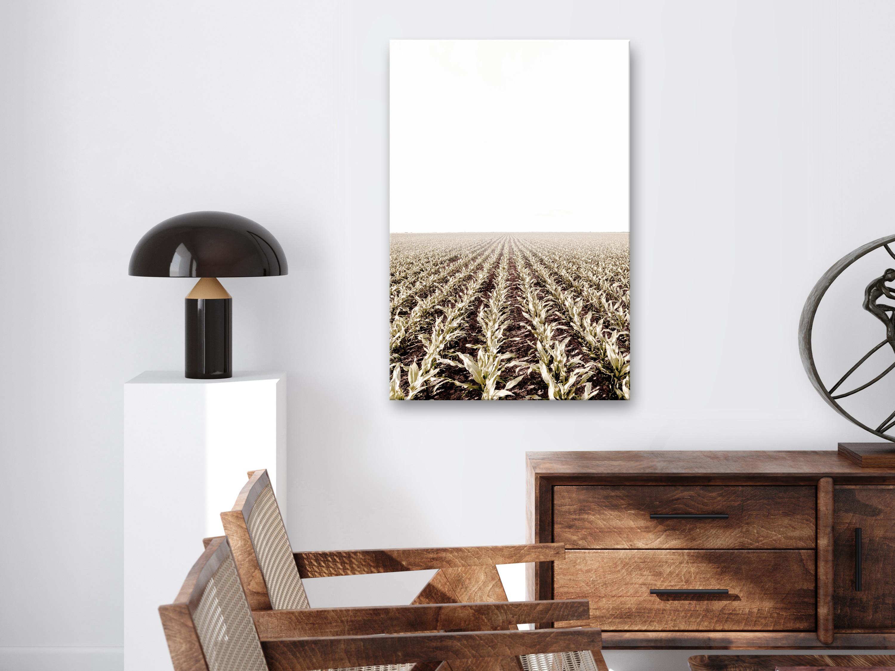 Billede - Corn Field (1 Part) Vertical - 60 x 90 cm - På italiensk lærred billede