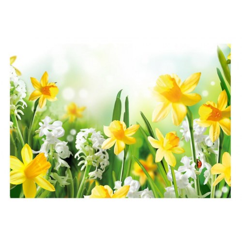 Fototapet - Spring walk