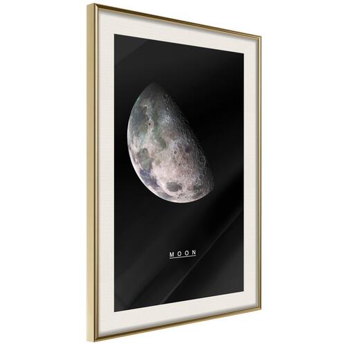 Plakat - Moon