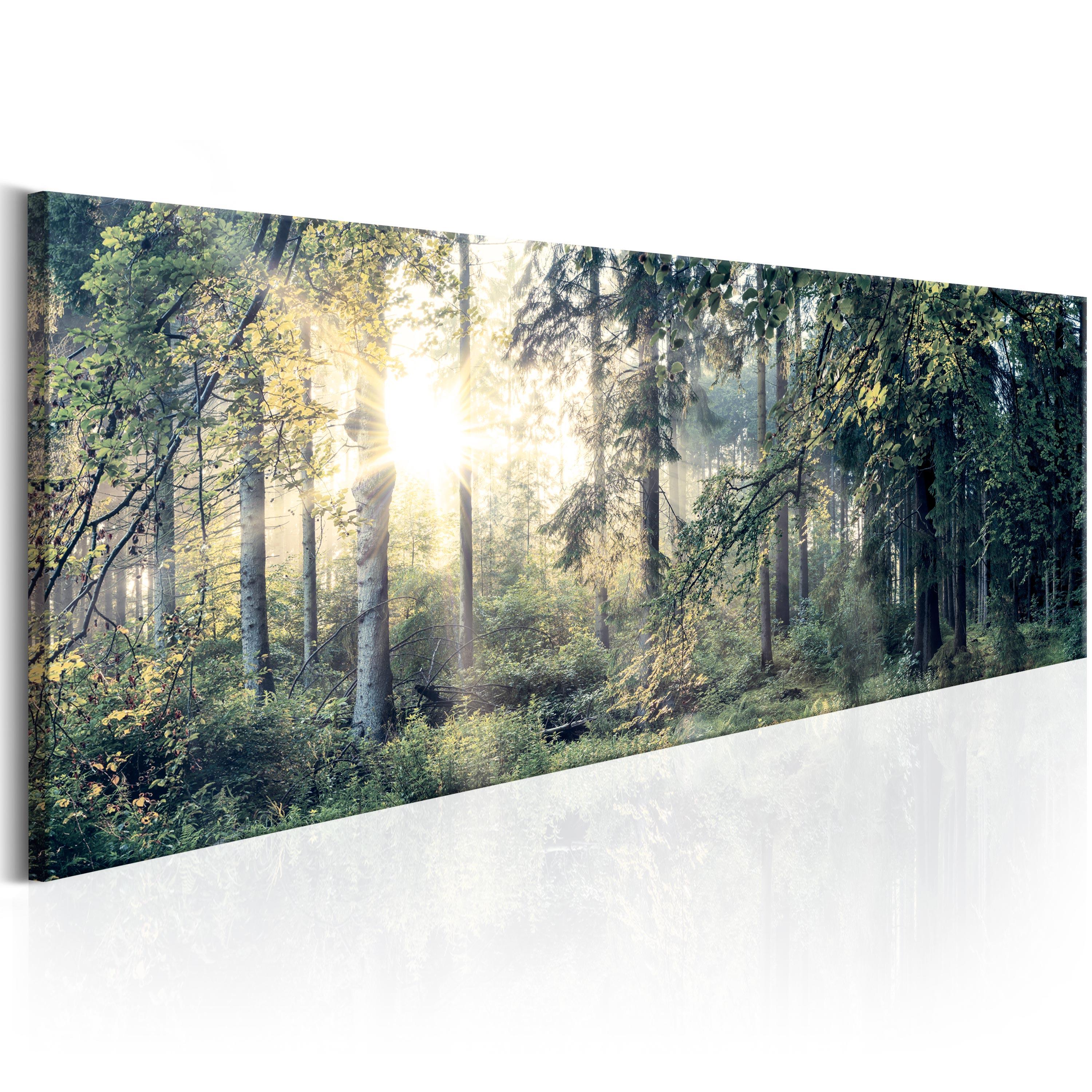 Billede - Morning Magic - 120 x 40 cm - Premium Print billede