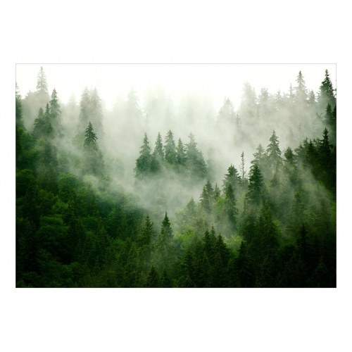 Fototapet - Mountain Forest (Green)