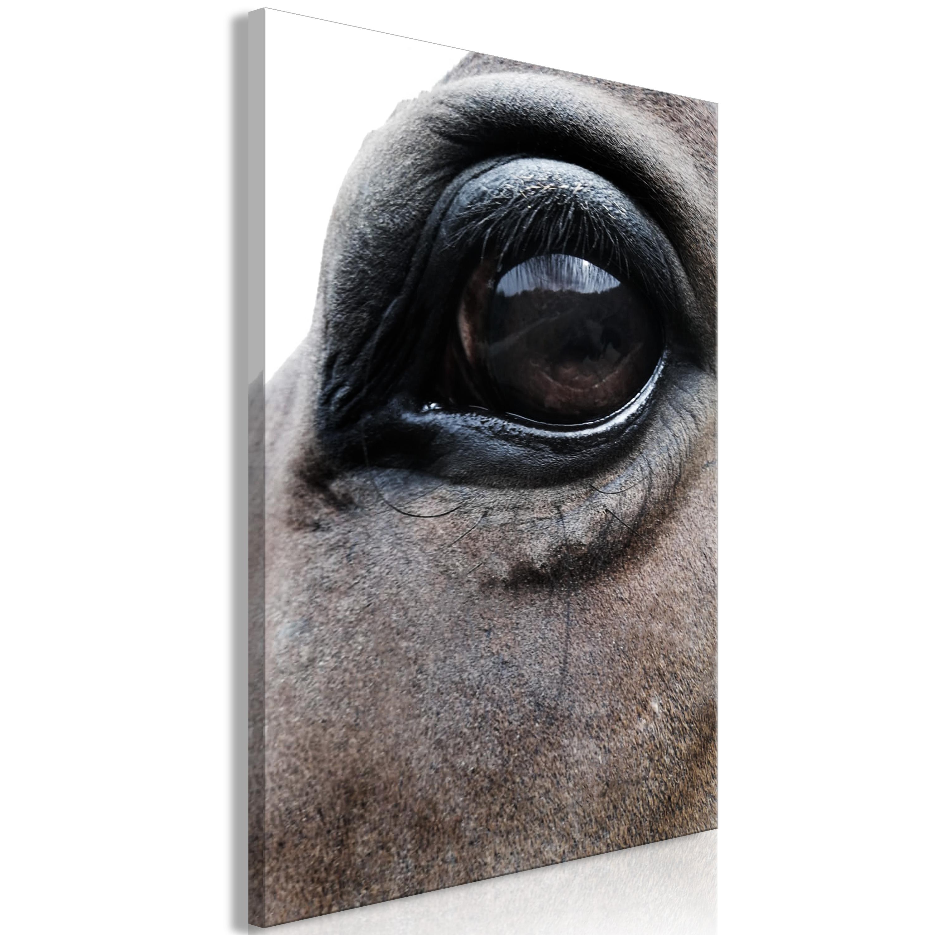 Billede - Honest Eyes (1 Part) Vertical - 80 x 120 cm - Standard billede