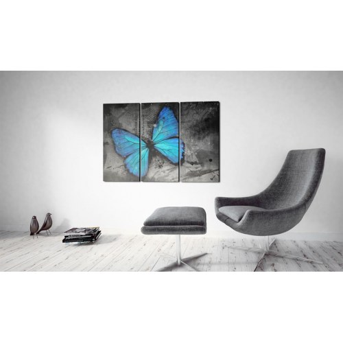 Billede - The study of butterfly - triptych