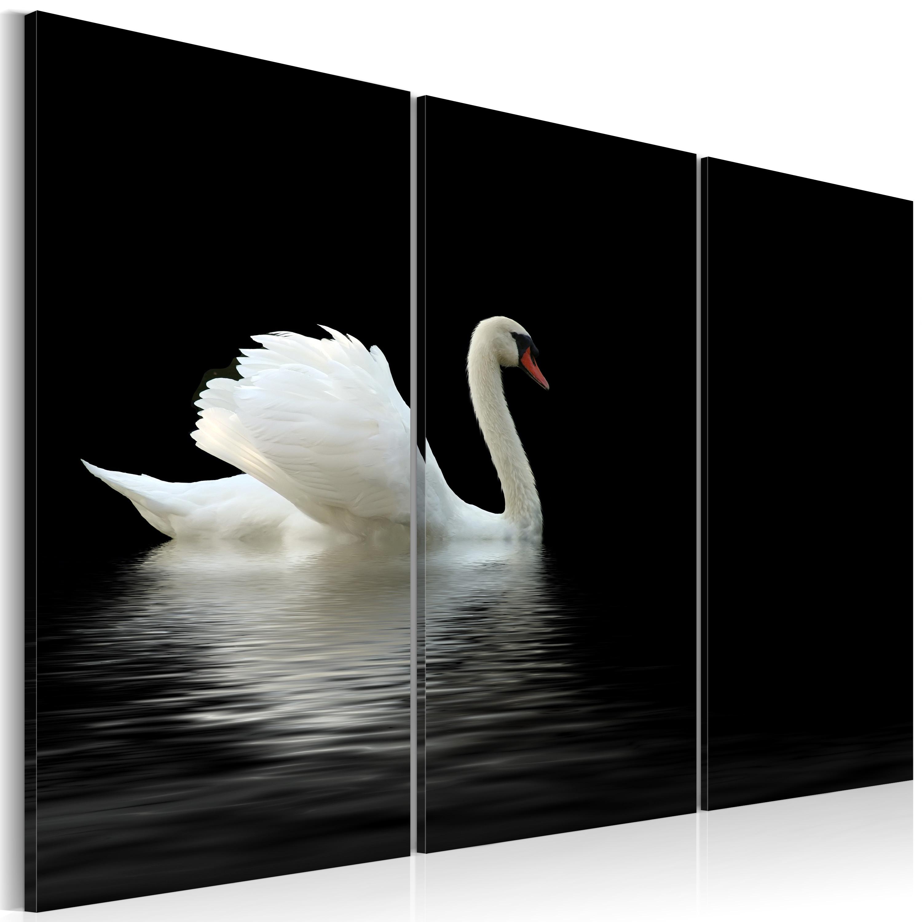 Billede - A lonely white swan - 60 x 40 cm - På italiensk lærred billede