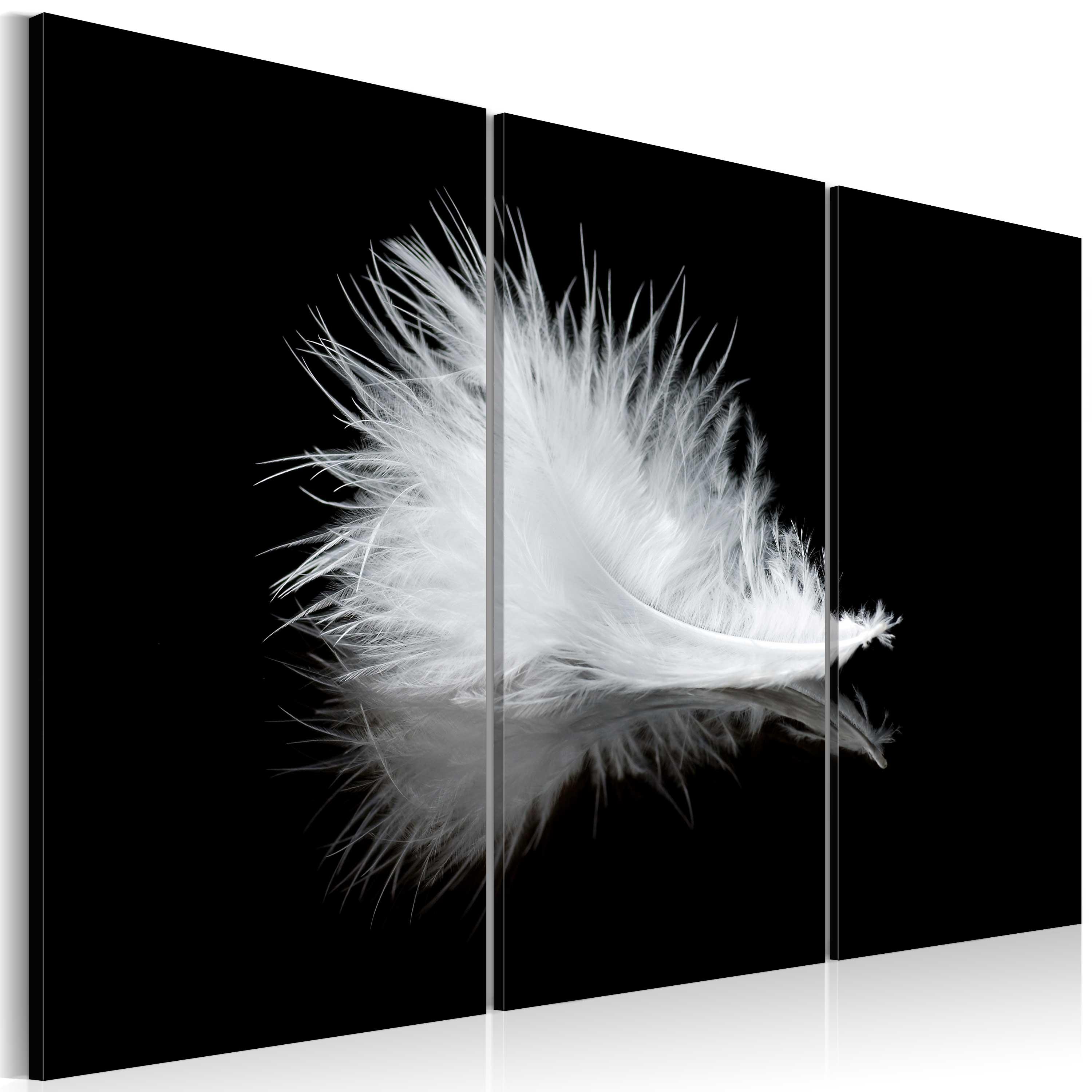 Billede - A small feather - 60 x 40 cm - Standard billede