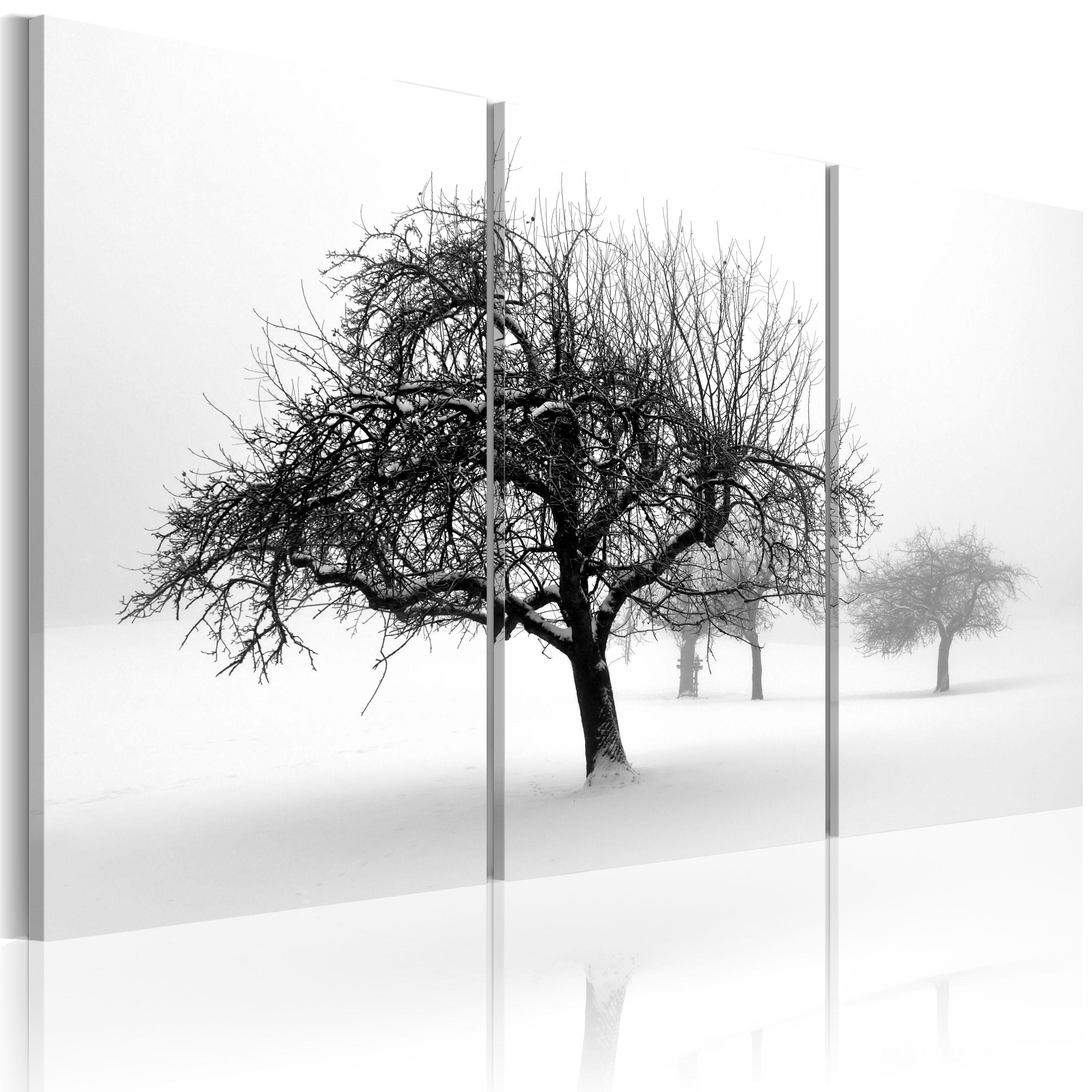 Billede - Trees submerged in white - 60 x 40 cm - Standard billede