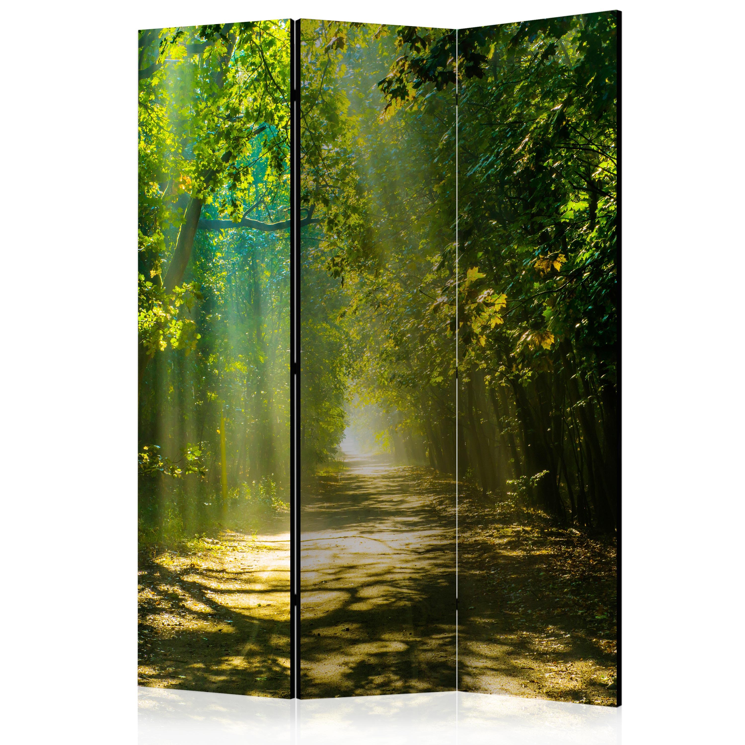 Skærmvæg – Road in Sunlight – 135 x 172 cm – Dobbeltsidet