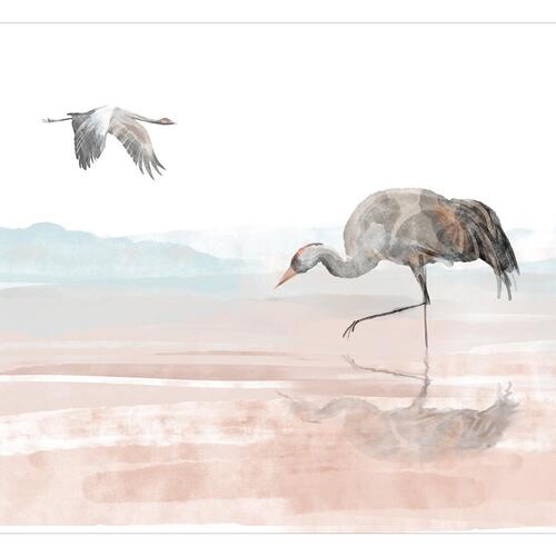 Fototapet - Cranes Over the Water