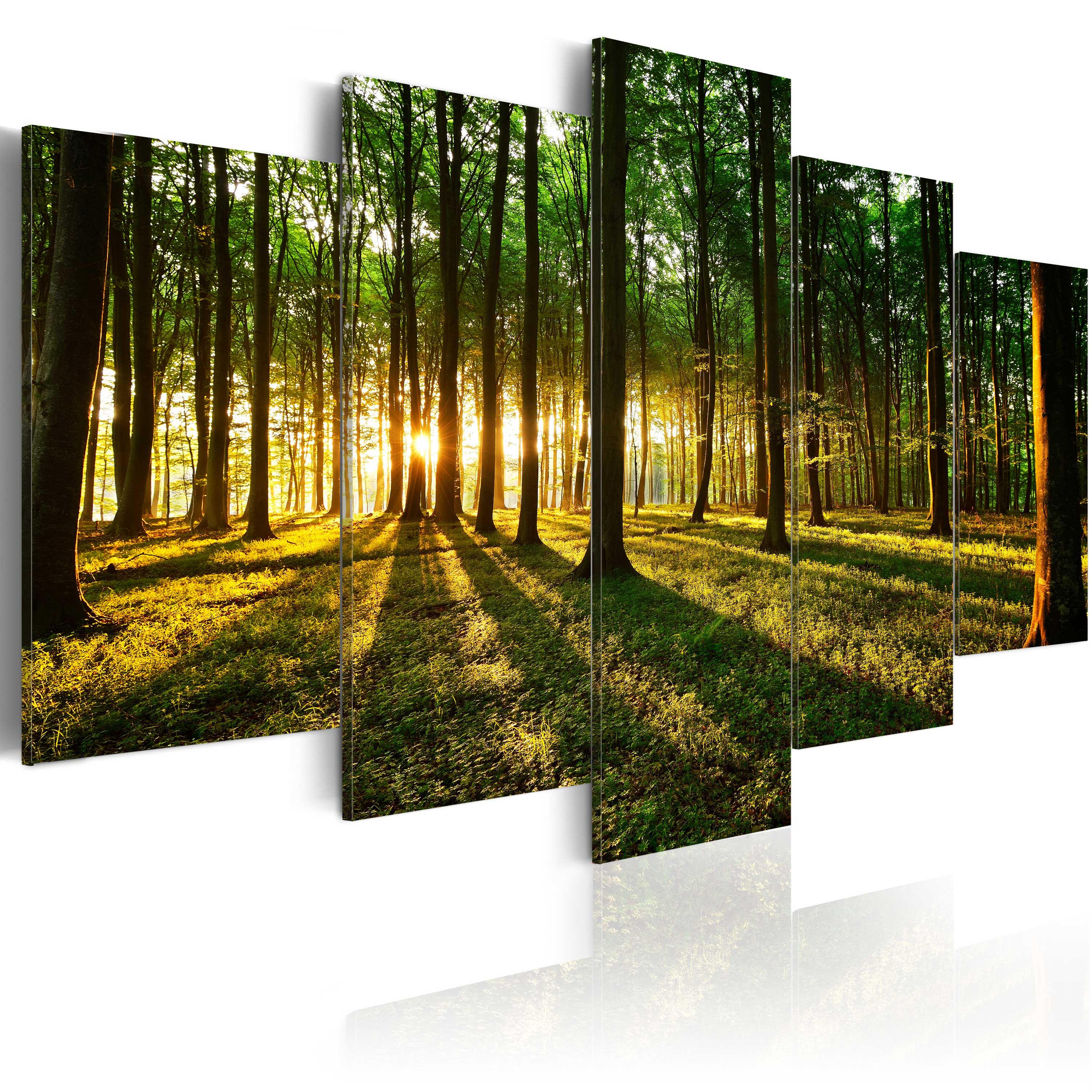 Billede - Adventure in the woods - 225 x 112.5 cm - Premium Print billede