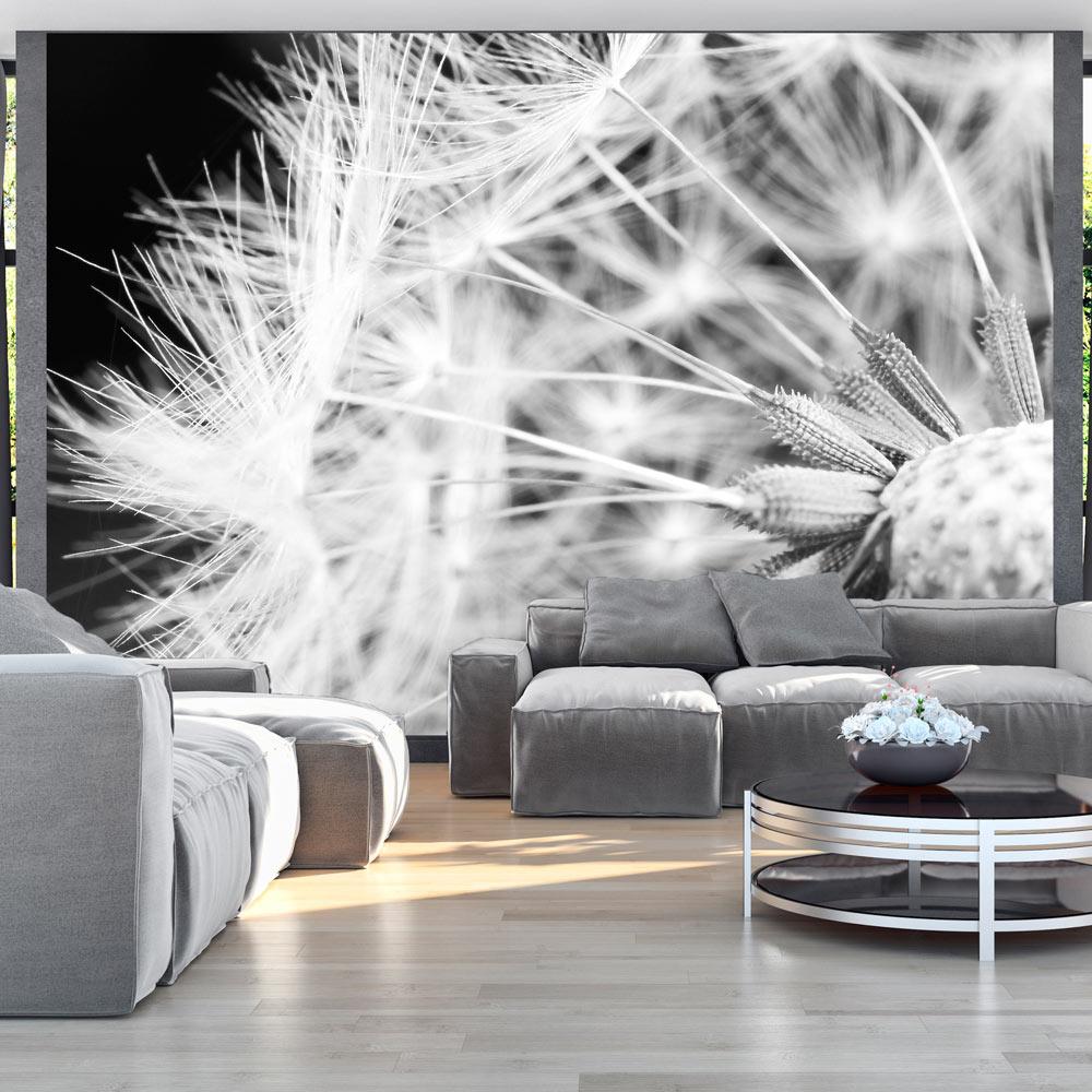 Fototapet - Black and white dandelion - 98 x 70 cm - Selvklæbende billede