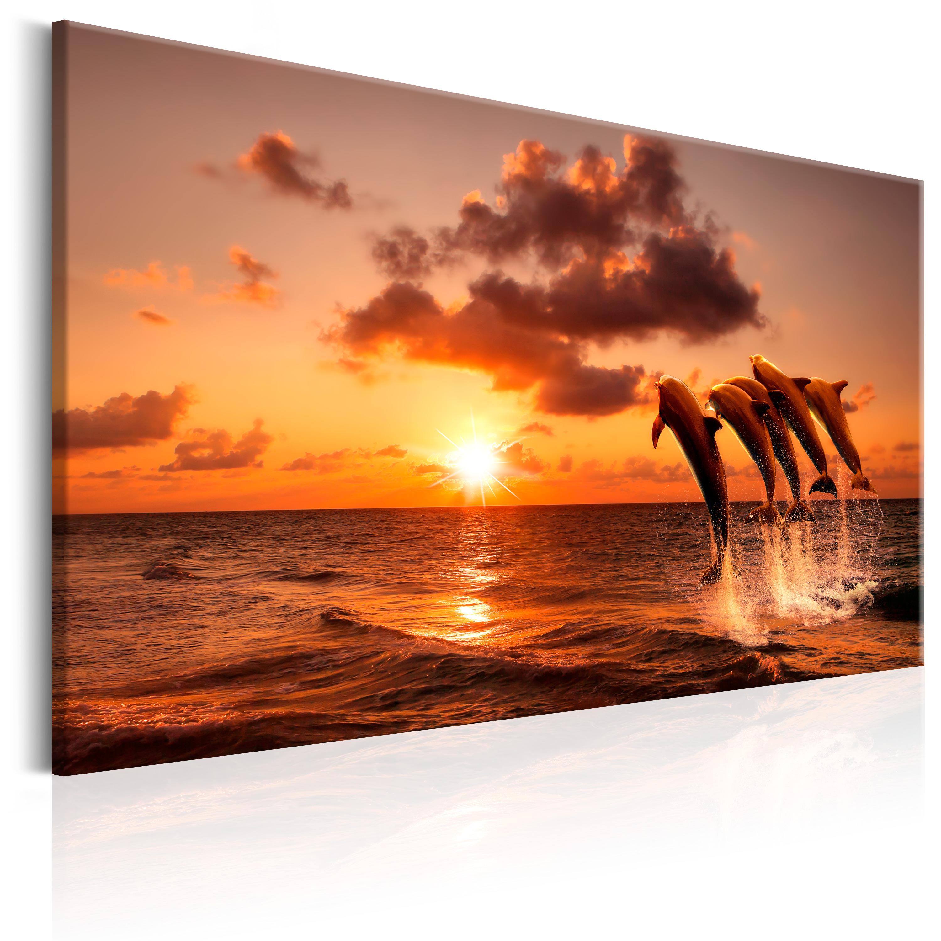 Billede - The Dolphin's Dance - 60 x 40 cm - Premium Print billede