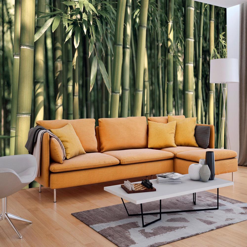 Fototapet - Bamboo Exotic - 196 x 140 cm - Selvklæbende billede