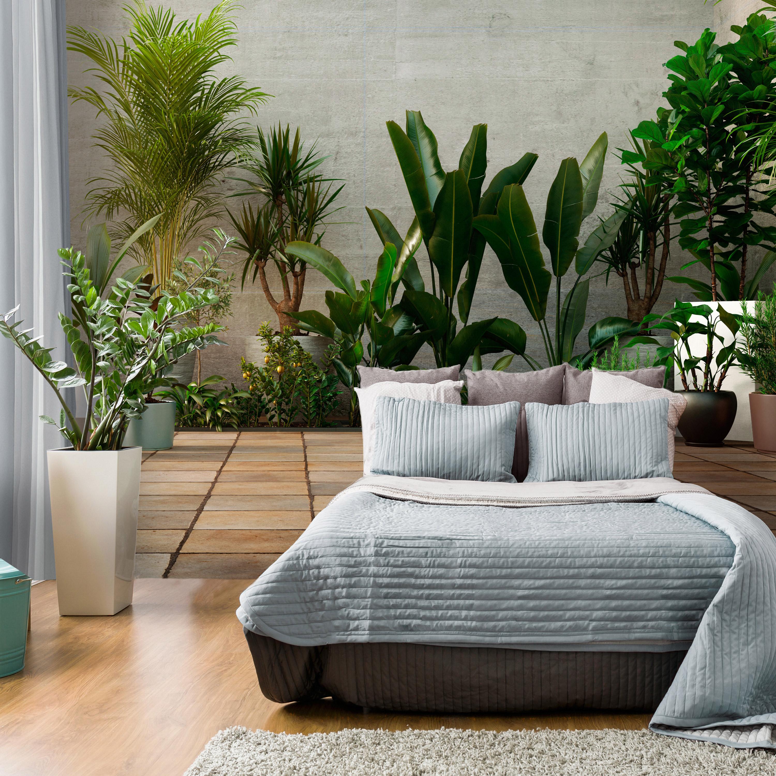 Fototapet - Home Garden - 300 x 210 cm - Standard billede