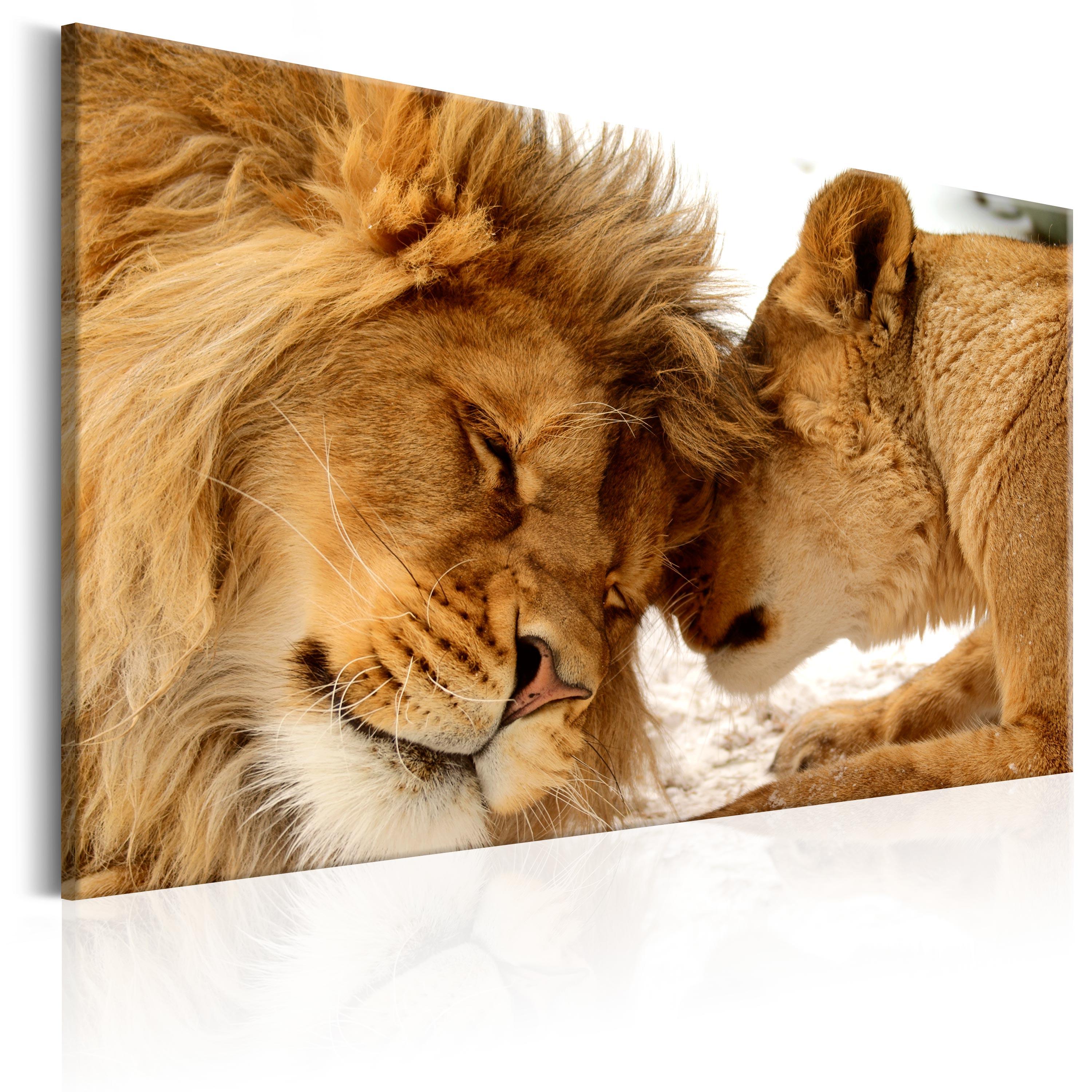 Billede - Love's Secret - 30 x 20 cm - Premium Print billede