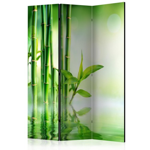 Skærmvæg - Green Bamboo