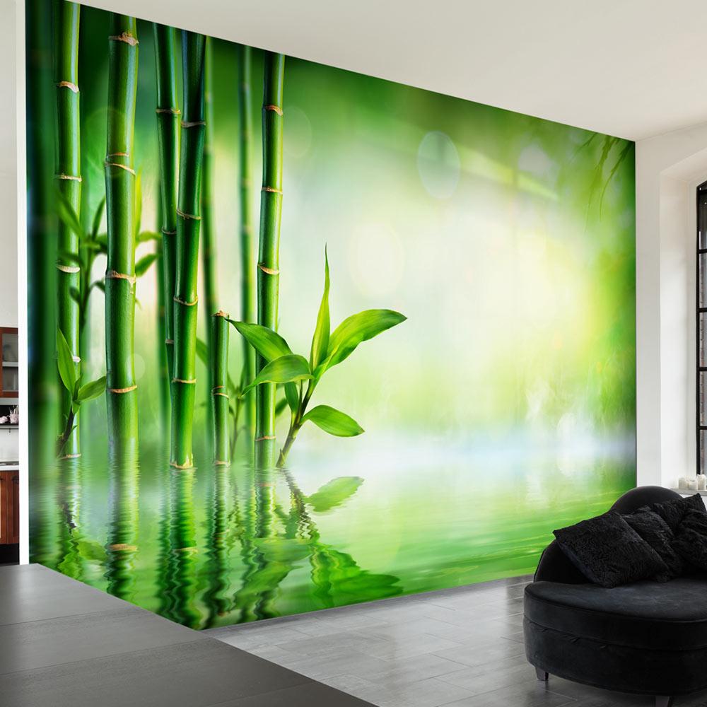 Fototapet - Bamboo Grove - 350 x 245 cm - Premium billede