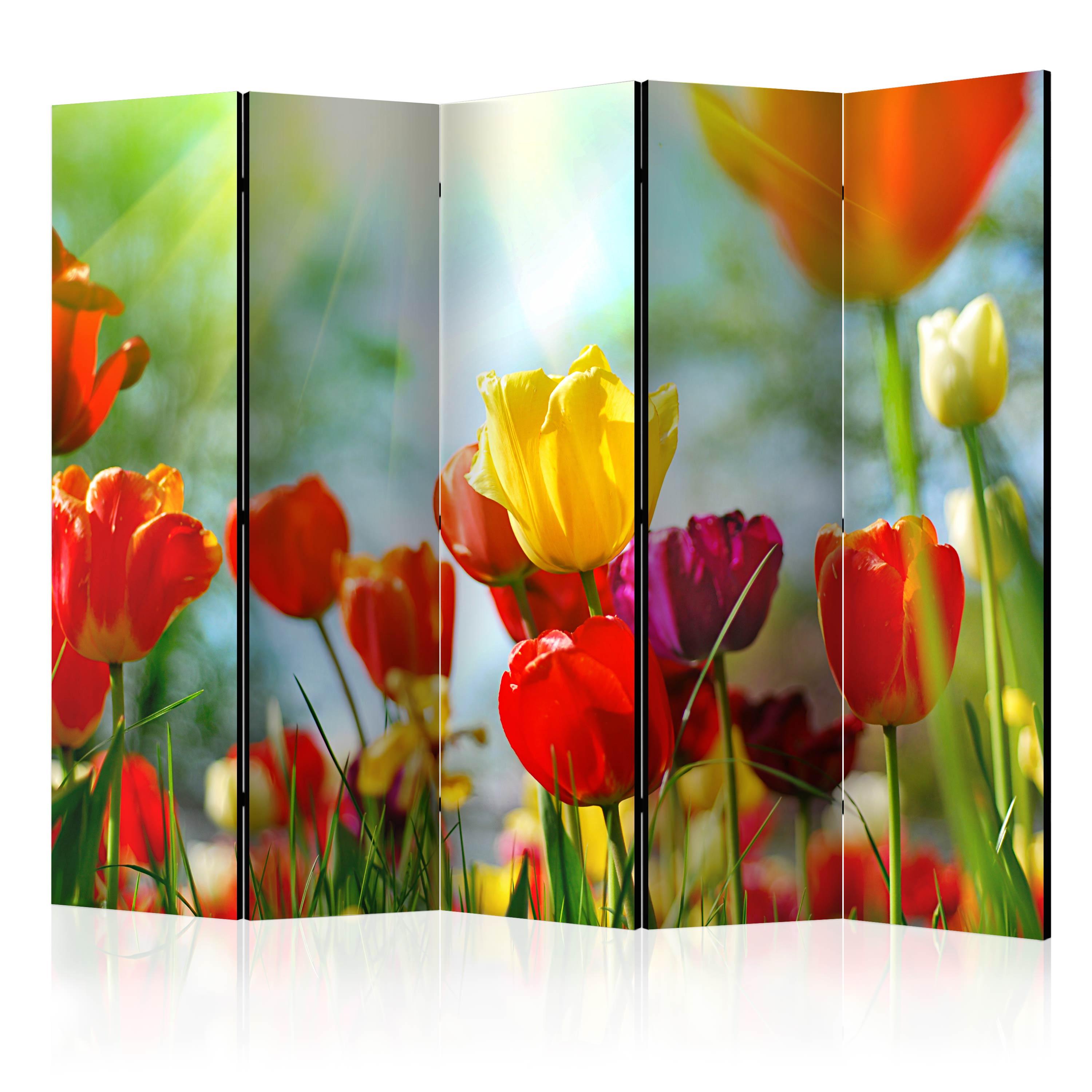 Skærmvæg – Spring Tulips II – 225 x 172 cm – Akustik