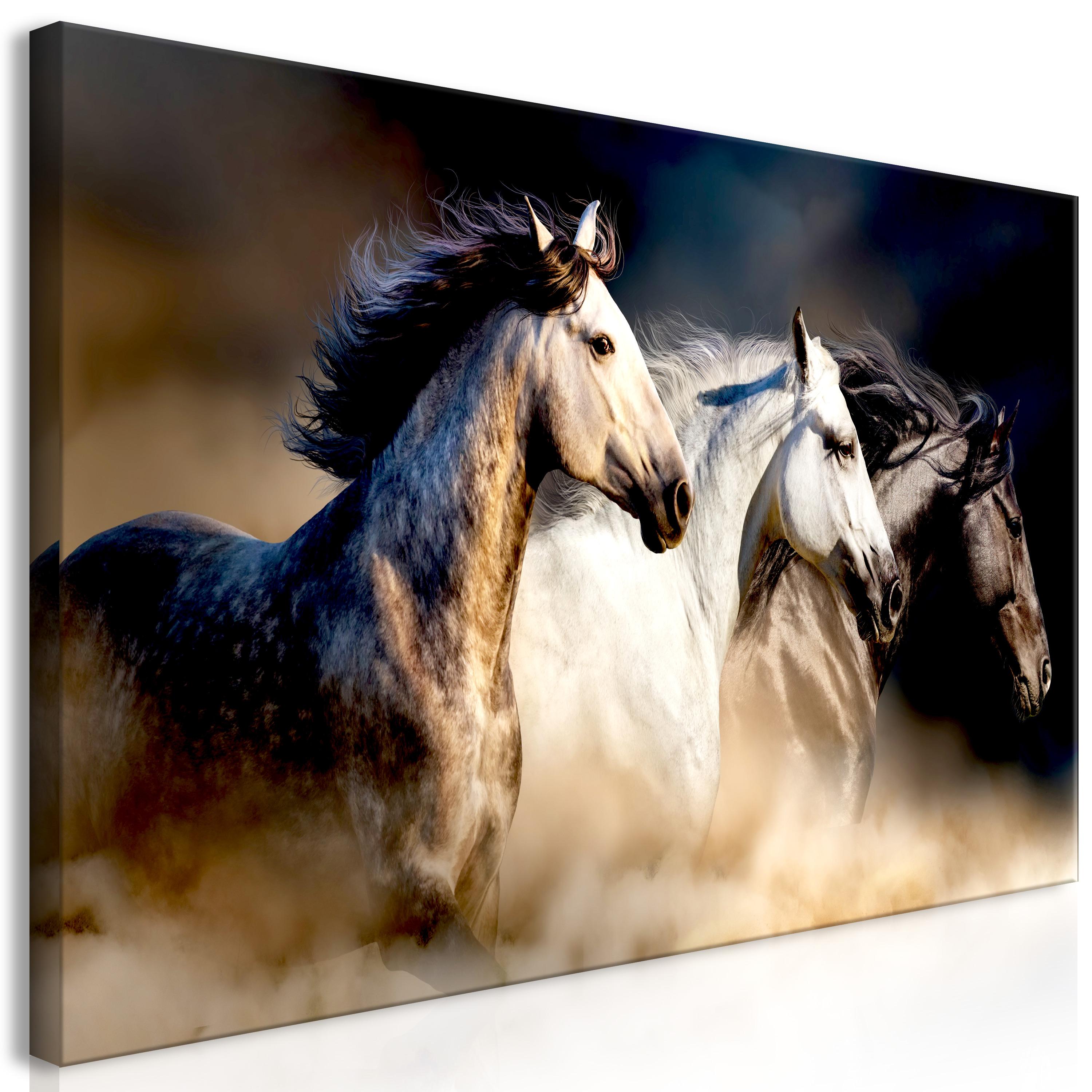 Billede - Sons of the Wind (1 Part) Wide - 120 x 60 cm - Premium Print billede