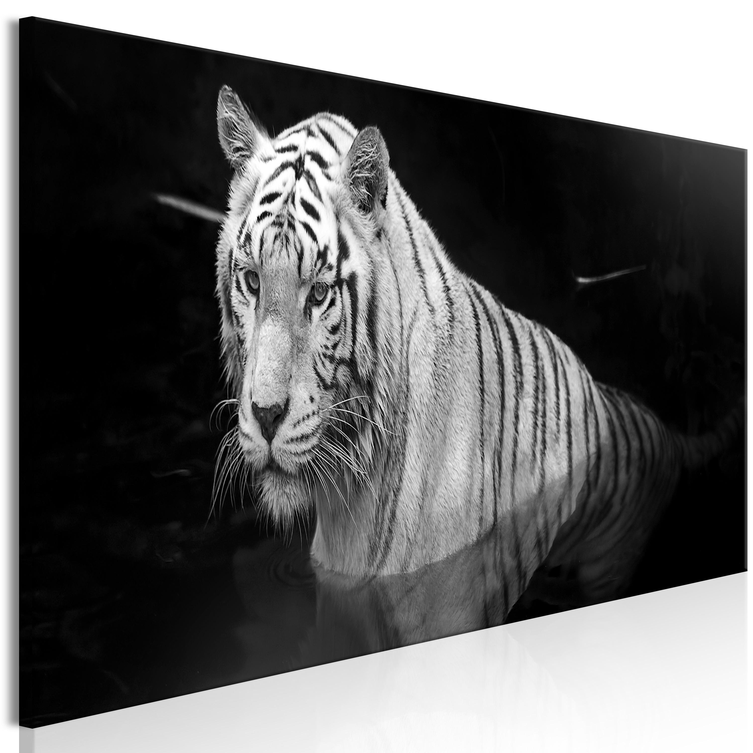 Billede - Shining Tiger (1 Part) Black and White Narrow - 135 x 45 cm - Premium Print billede