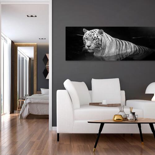 Billede - Shining Tiger (1 Part) Black and White Narrow