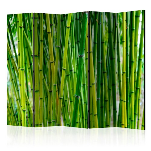 Skærmvæg - Bamboo Forest II