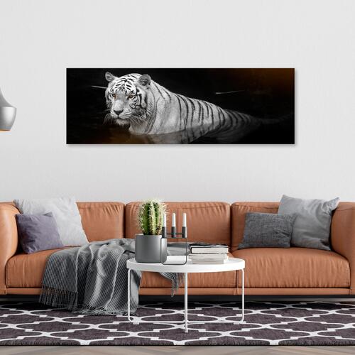 Billede - Shining Tiger (1 Part) Orange Narrow
