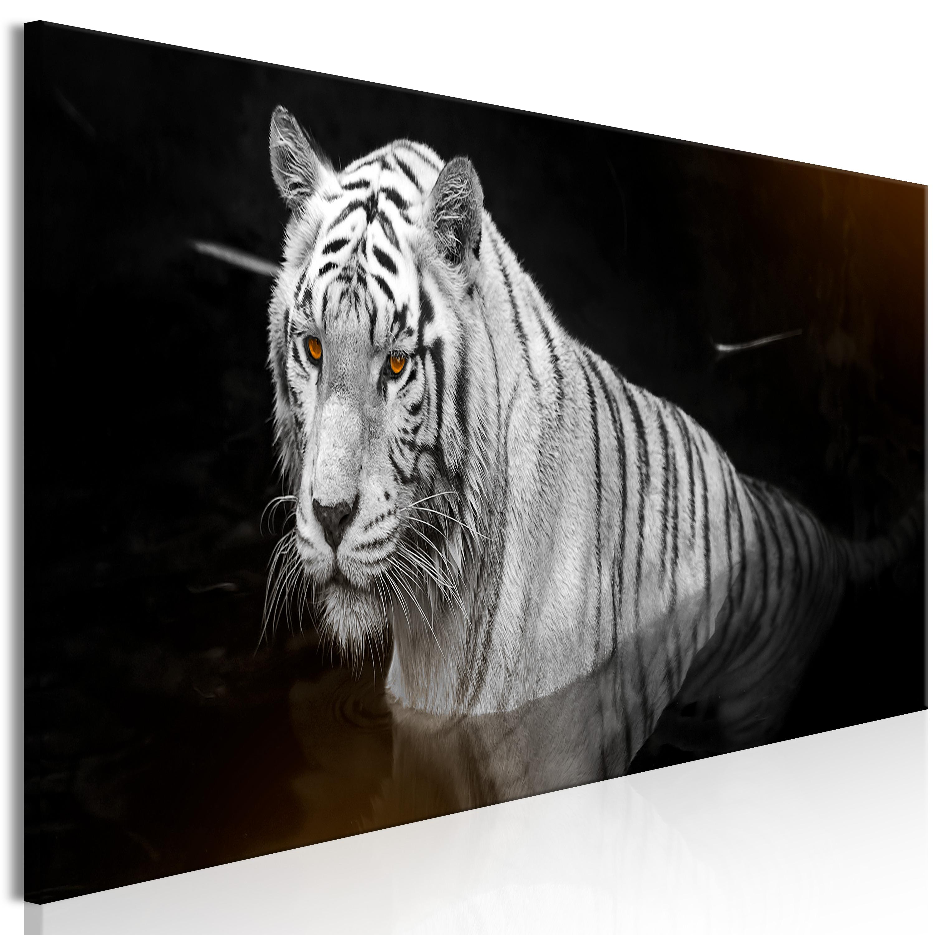 Billede - Shining Tiger (1 Part) Orange Narrow - 120 x 40 cm - Premium Print billede