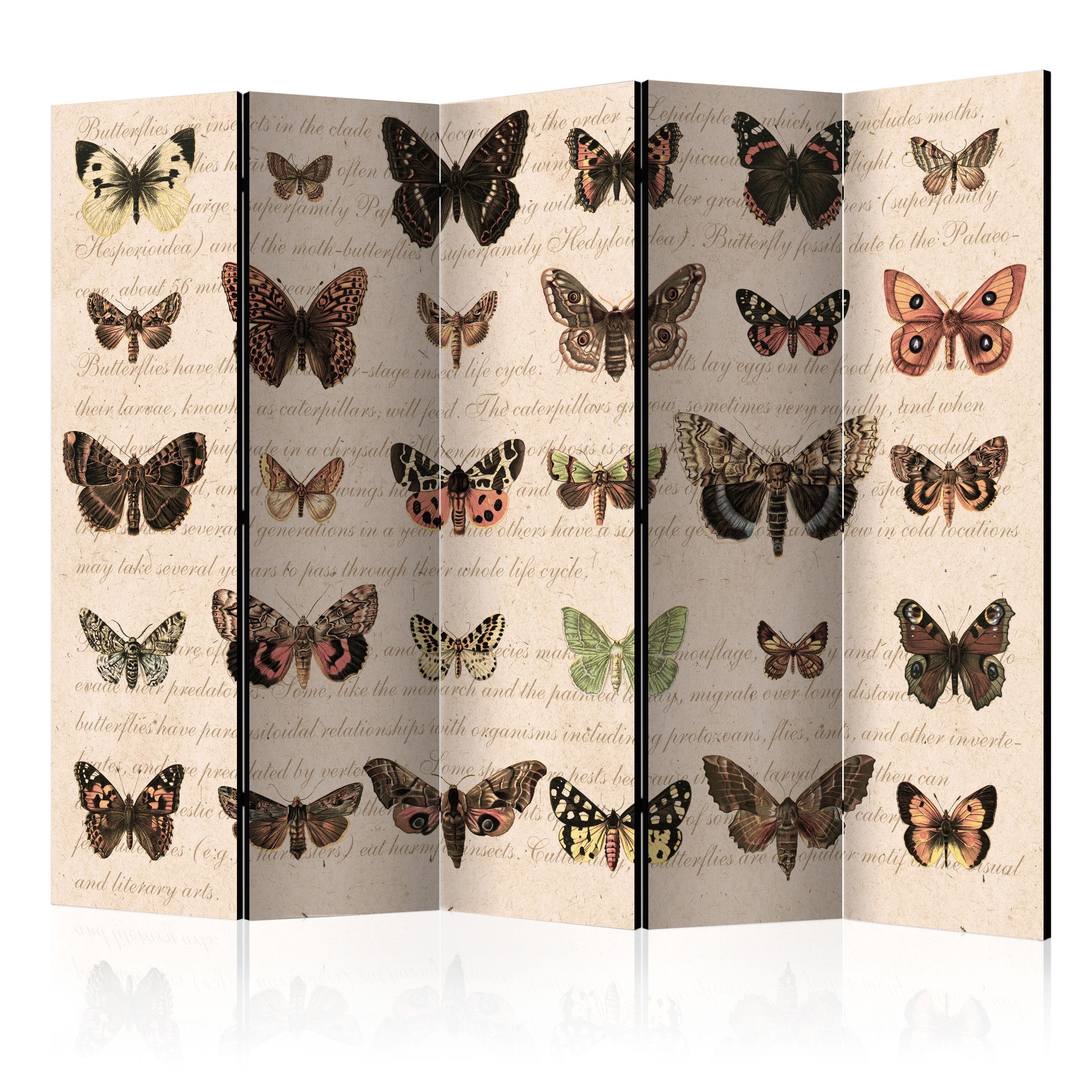 Skærmvæg - Retro Style: Butterflies II - 225 x 172 cm - Enkeltsiddet