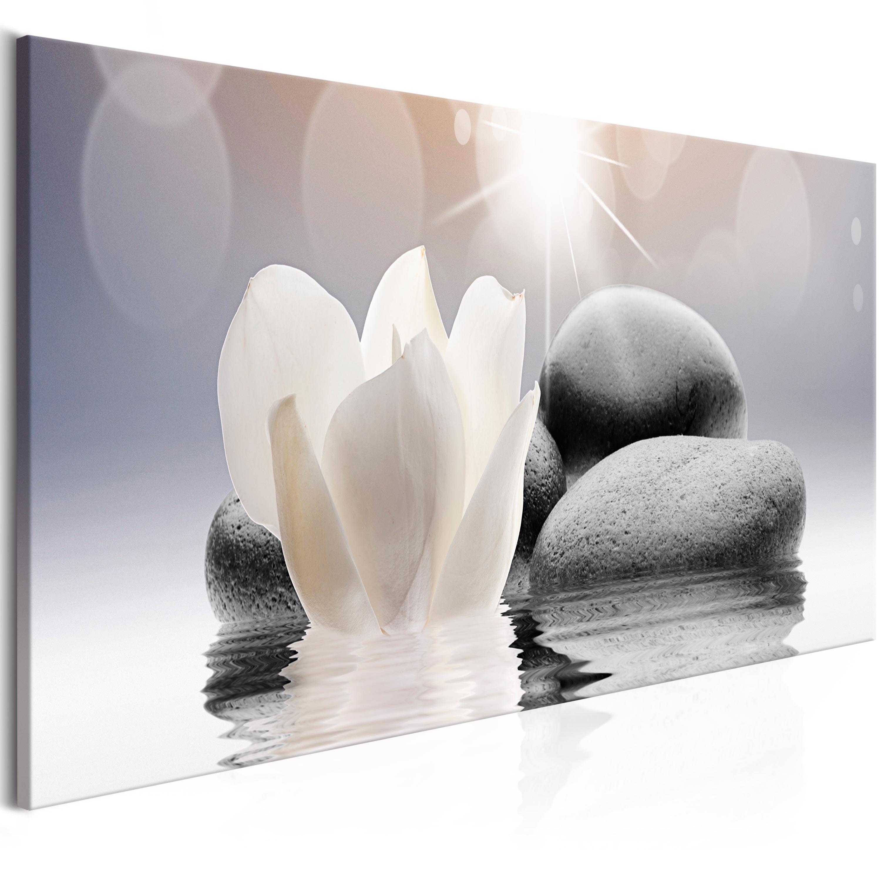 Billede - Pebbles in Water (1 Part) Narrow - 150 x 50 cm - Premium Print billede