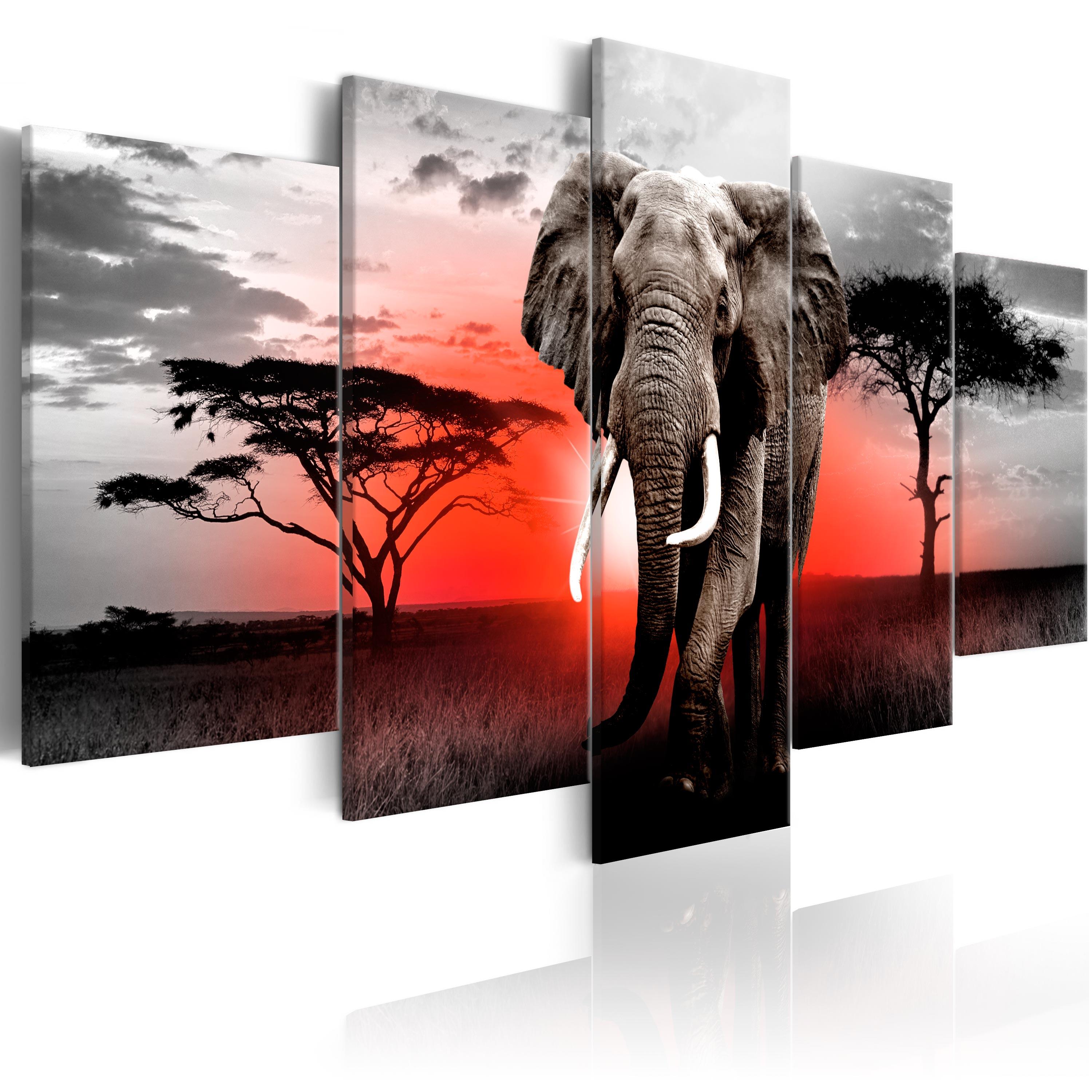 Billede - Lonely Elephant - 200 x 100 cm - Premium Print billede