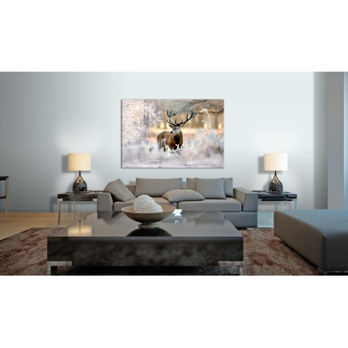 Billede - Deer in the Cold