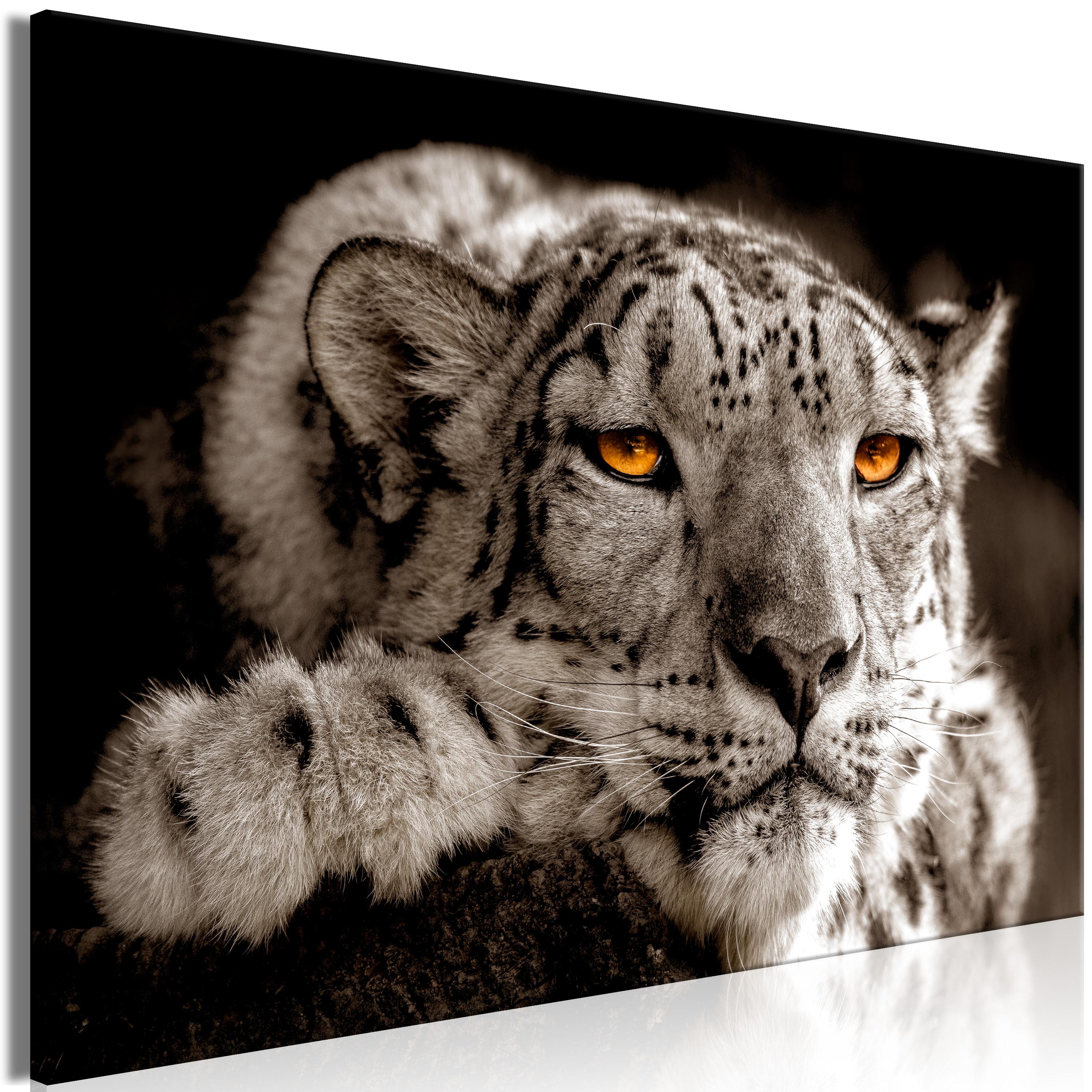Billede - Magic Eyes (1 Part) Wide - 30 x 20 cm - Standard billede