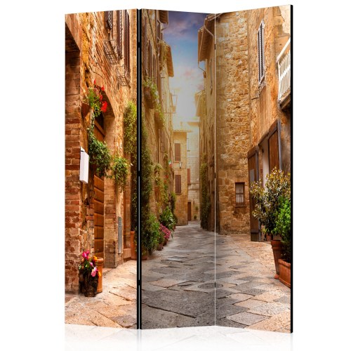 Skærmvæg - Colourful Street in Tuscany