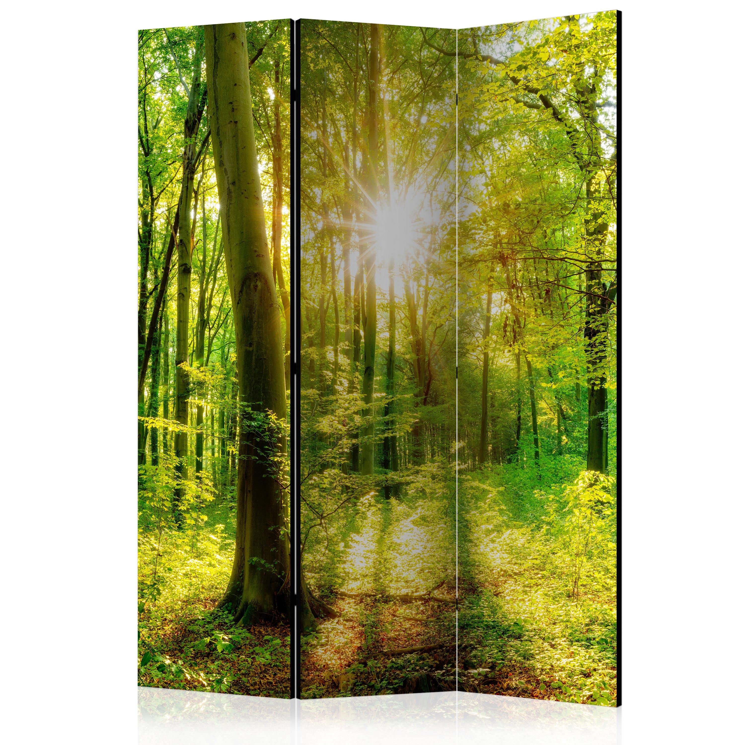 Skærmvæg – Forest Rays – 135 x 172 cm – Enkeltsiddet