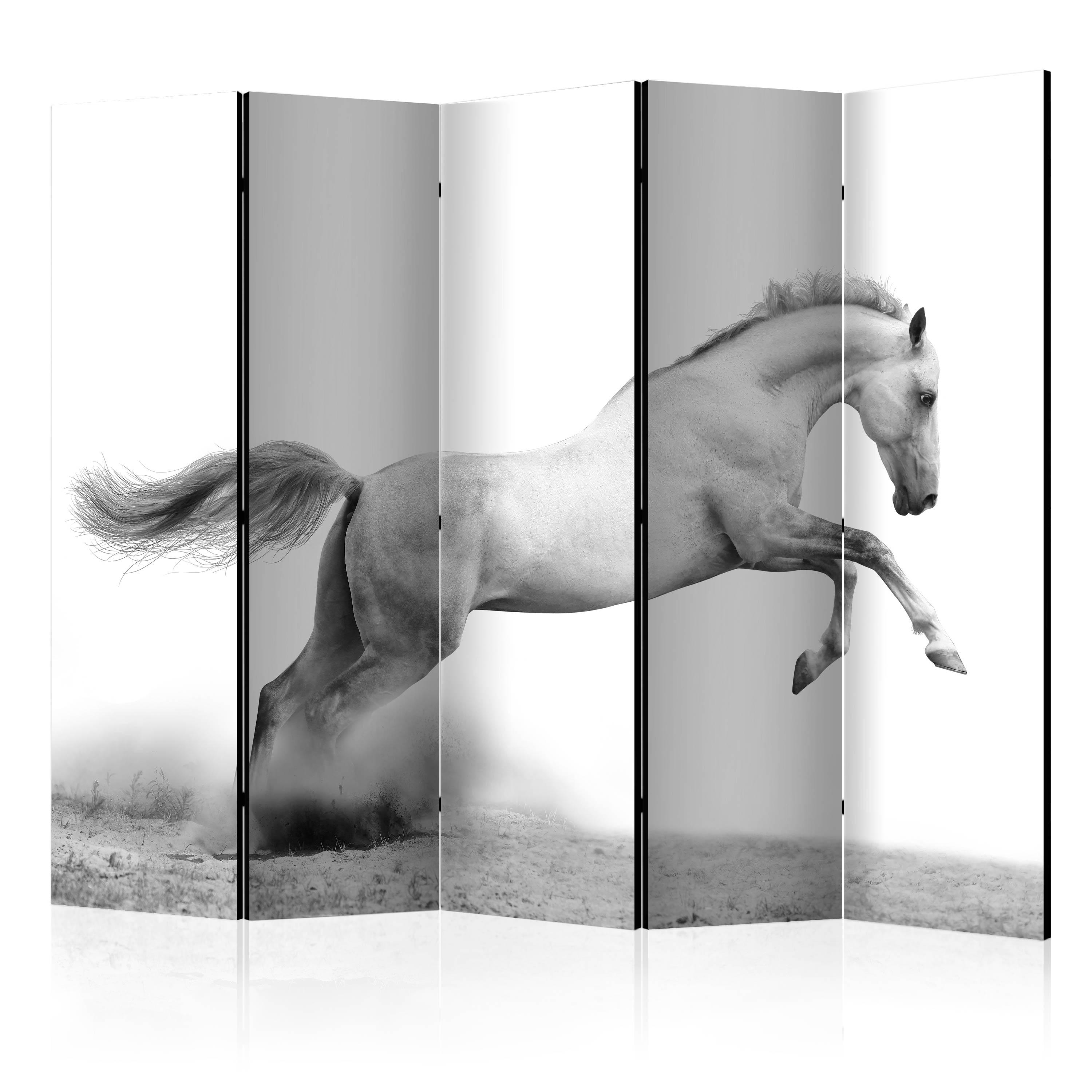 Skærmvæg - White gallop II - 225 x 172 cm - Enkeltsiddet