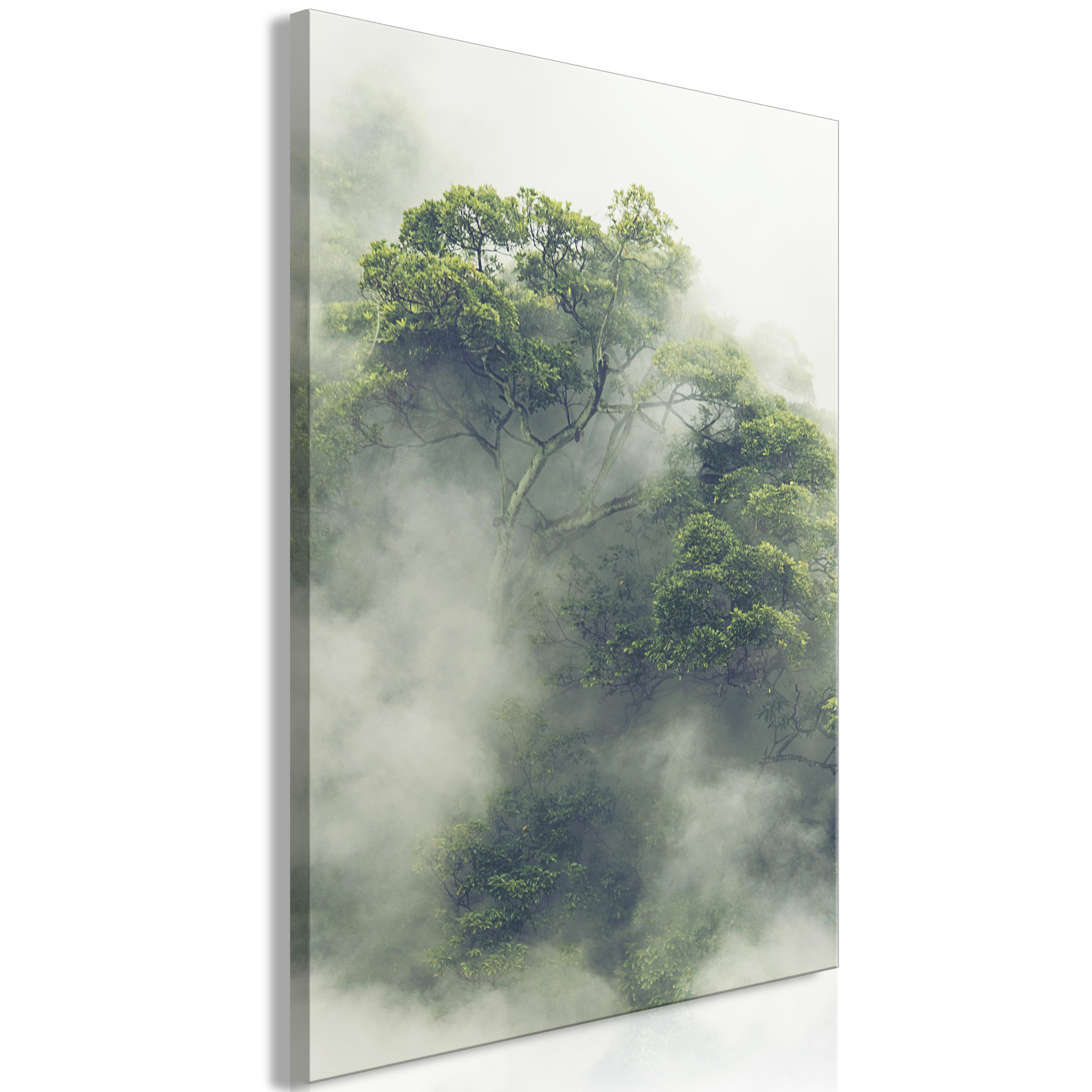 Billede - Foggy Amazon (1 Part) Vertical - 60 x 90 cm - Standard billede